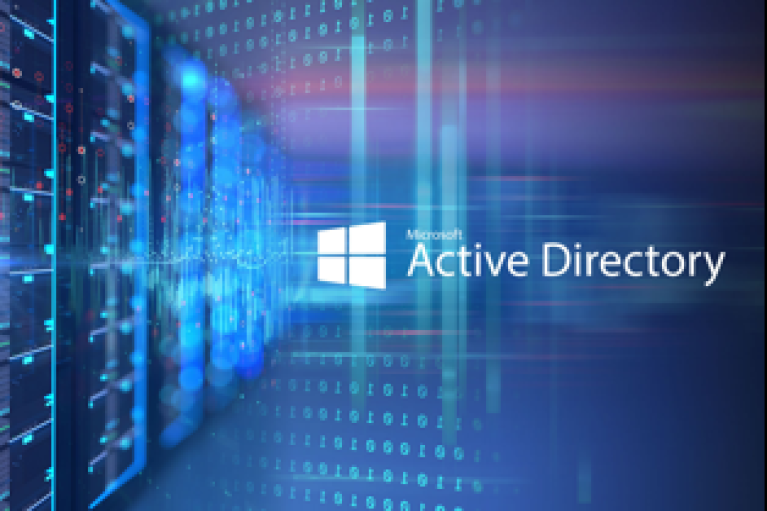 Local Microsoft Active Directory Networks